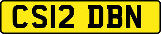 CS12DBN