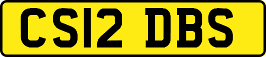 CS12DBS