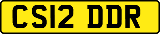 CS12DDR