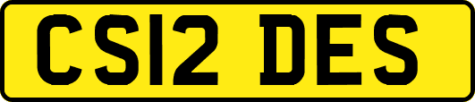 CS12DES