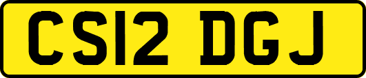 CS12DGJ