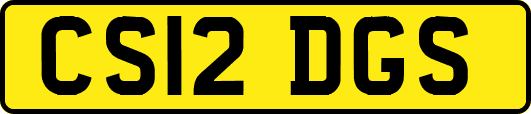 CS12DGS