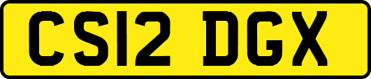 CS12DGX