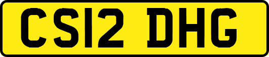 CS12DHG