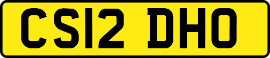 CS12DHO