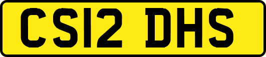 CS12DHS