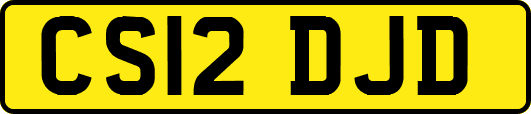 CS12DJD