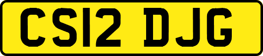 CS12DJG
