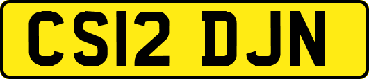 CS12DJN