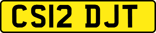 CS12DJT