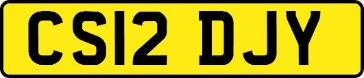 CS12DJY