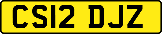 CS12DJZ