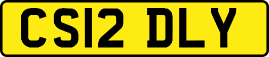 CS12DLY