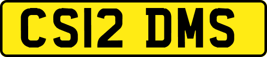 CS12DMS