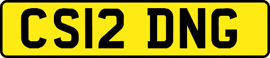 CS12DNG