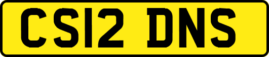 CS12DNS