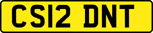 CS12DNT