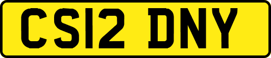 CS12DNY