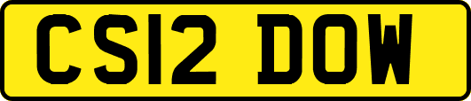 CS12DOW