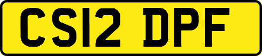 CS12DPF