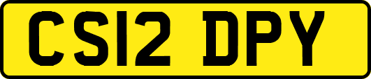 CS12DPY