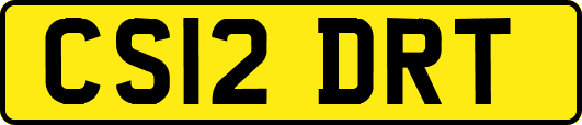 CS12DRT