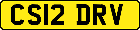 CS12DRV