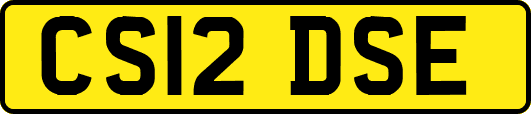 CS12DSE