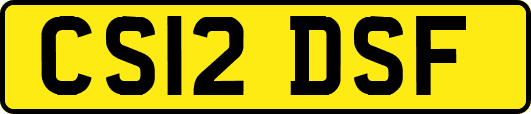 CS12DSF