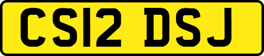 CS12DSJ