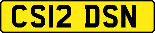 CS12DSN