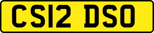 CS12DSO