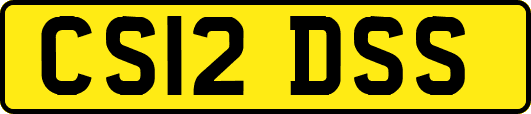 CS12DSS