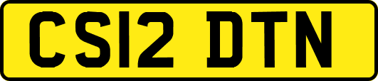 CS12DTN