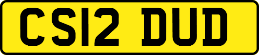 CS12DUD