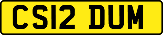 CS12DUM