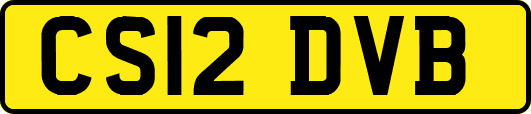 CS12DVB