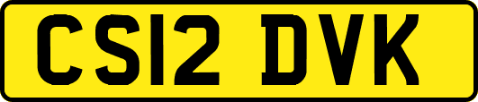 CS12DVK