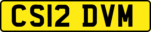 CS12DVM