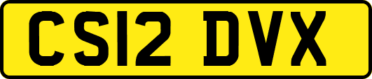 CS12DVX