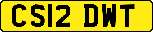 CS12DWT
