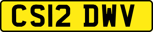 CS12DWV