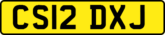 CS12DXJ