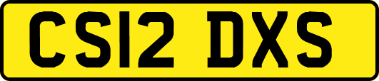CS12DXS
