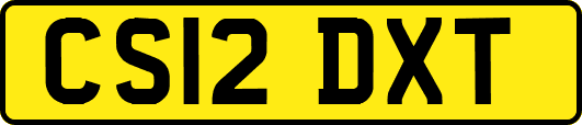 CS12DXT
