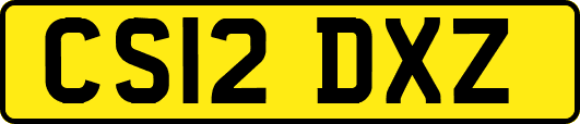 CS12DXZ