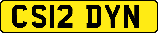 CS12DYN