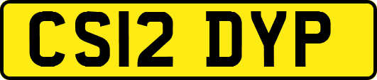 CS12DYP