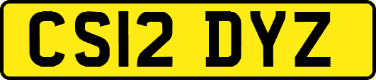 CS12DYZ