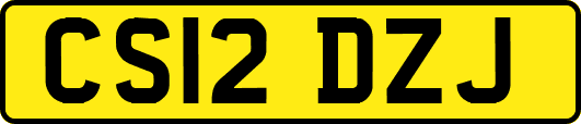 CS12DZJ